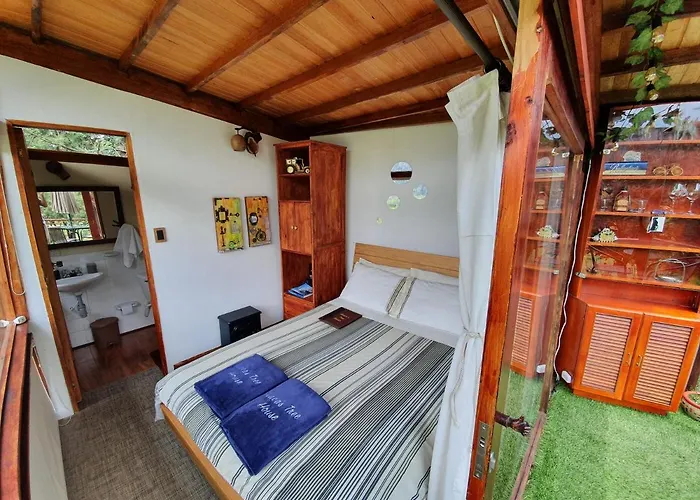 Casa en el Árbol