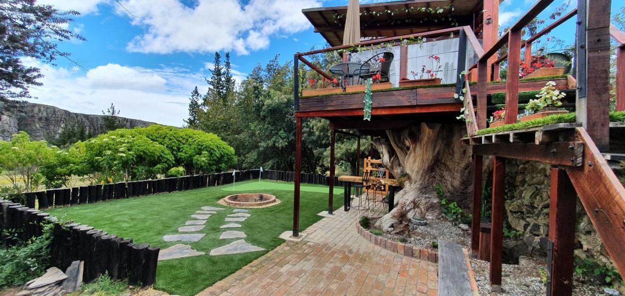 Сasa de vacaciones Casa En El árbol