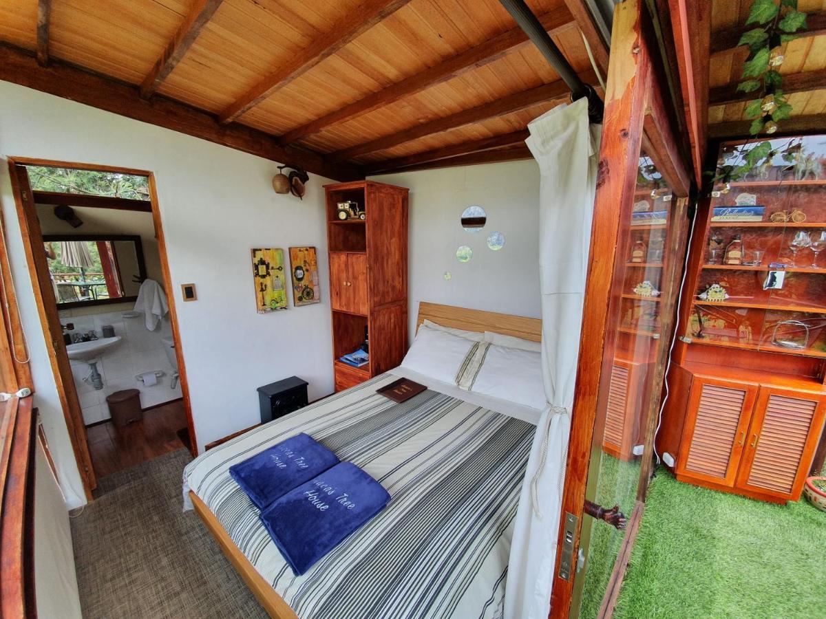 Casa En El árbol Suesca